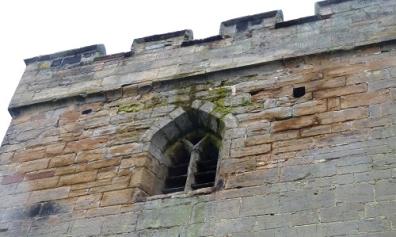 Advertisements for tender