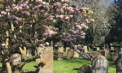 Churchyards & Memorials
